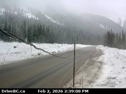 Rogers Pass Cam