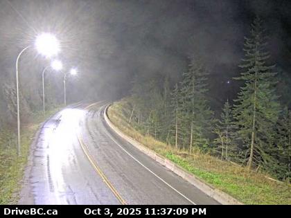 Jack McDonald Snowshed Cam