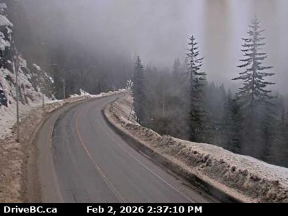 Jack McDonald Snowshed Cam